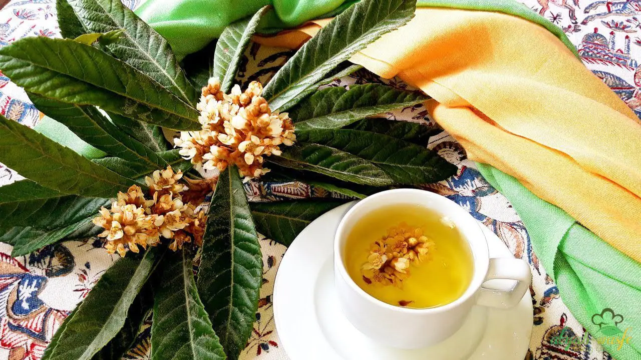طريقة تحضير شاي او زهورات الأكيدنيا